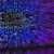 AI Phone Agents Save Restaurants From Lost Revenue